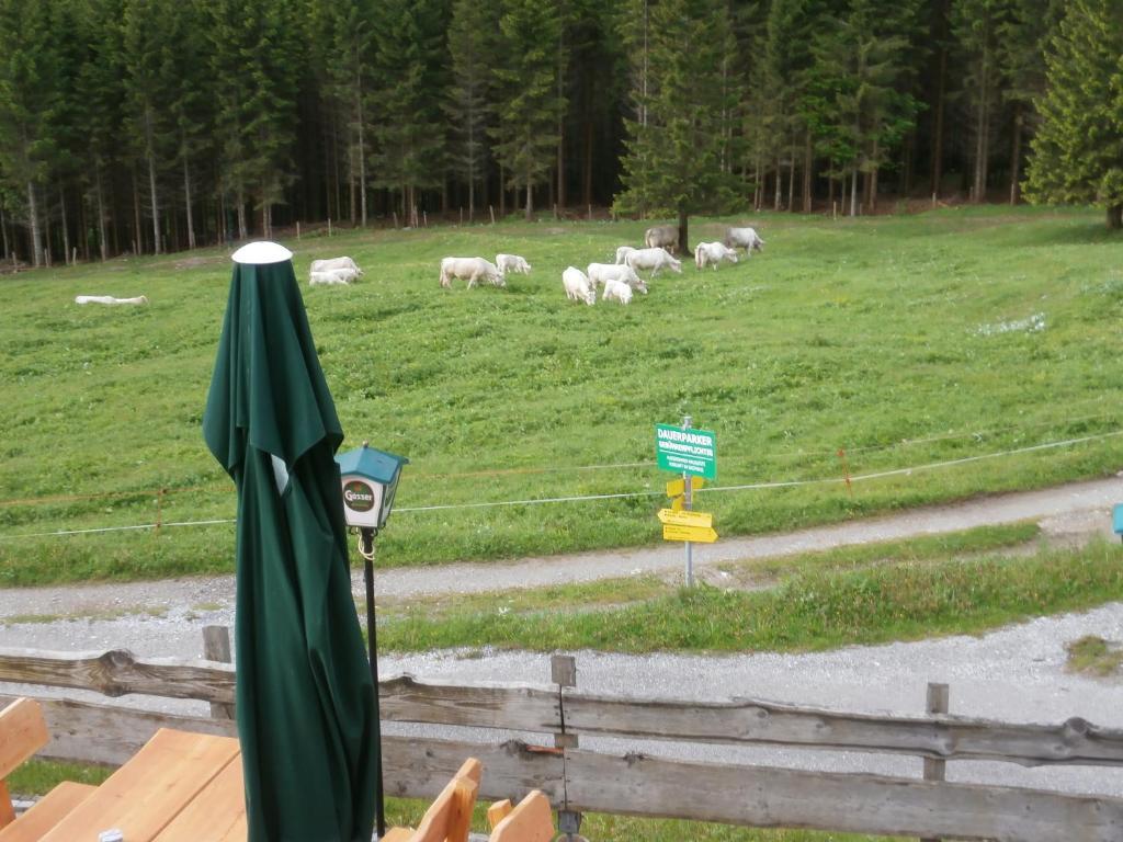 Plöcken Gasthof Untere Valentinalm酒店 外观 照片